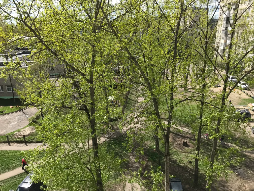 Уютная квартира в центре Дзержинского района