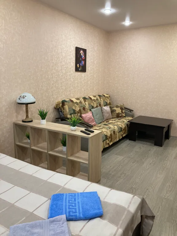 Уютная квартира в центре Заволжского эко района