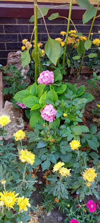 Happy home эко дом