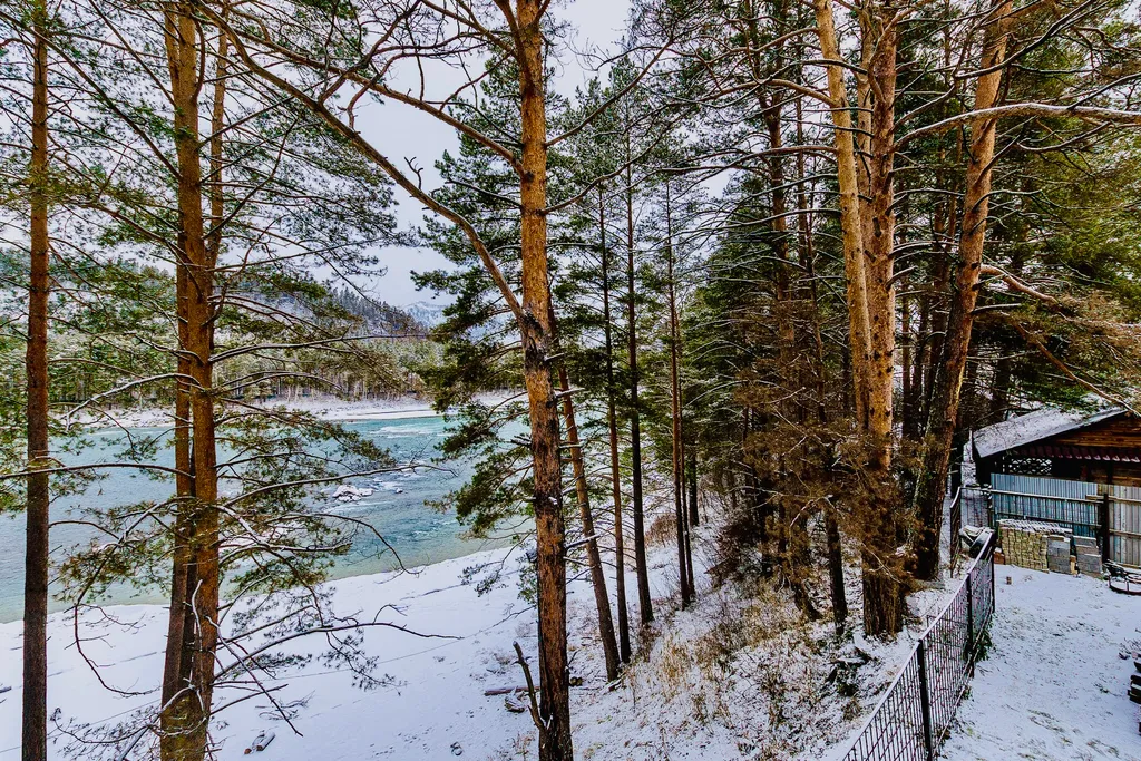 Комфорт двуместный с террасой