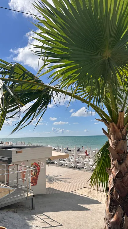 Квартира Хоста Морская