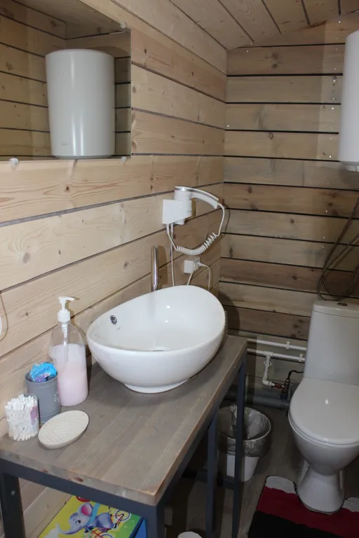 Дом в березовой роще