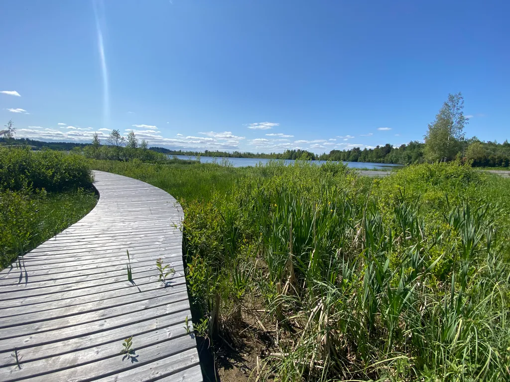 Уютная квартира у озера