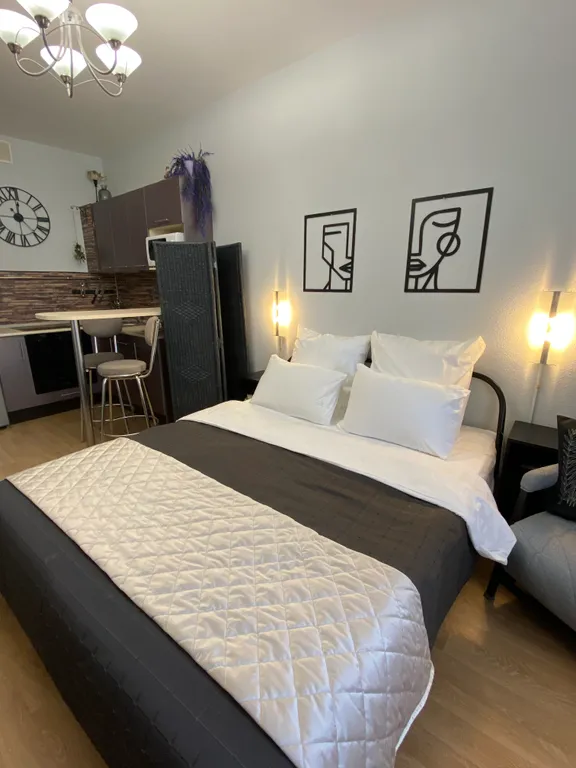 Уютная большая квартира-студия