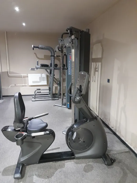 Студия в сосновом бору