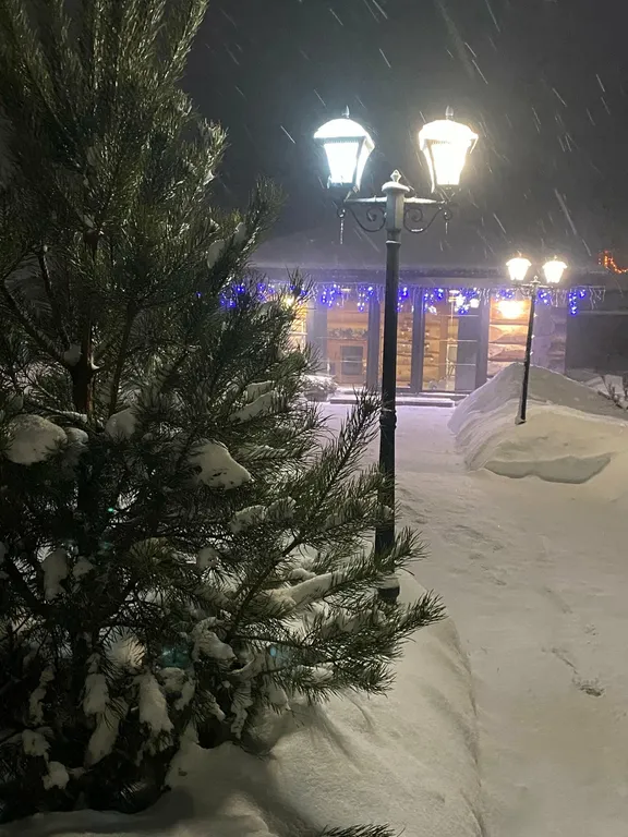 Бревенчатый сруб из Сибирского кедра