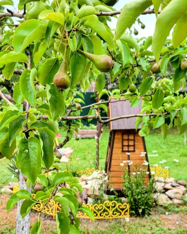 Море у дачи