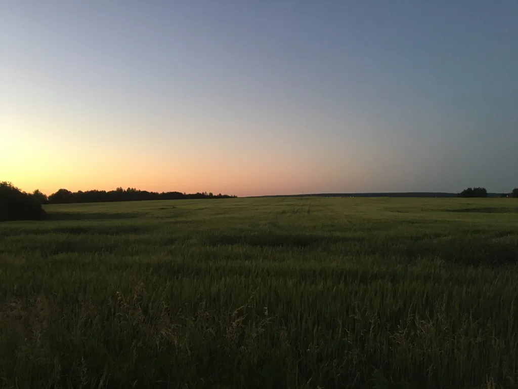 Коттедж Уютный деревянный дом с ландшафтным садом у озера — Шеметово