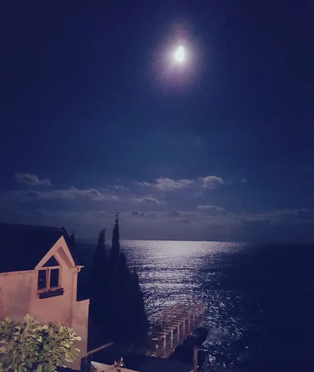 Студия с видом на море на первой береговой линии