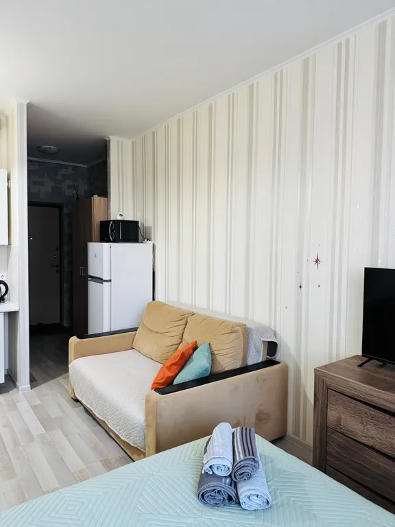 Уютная студия у метро