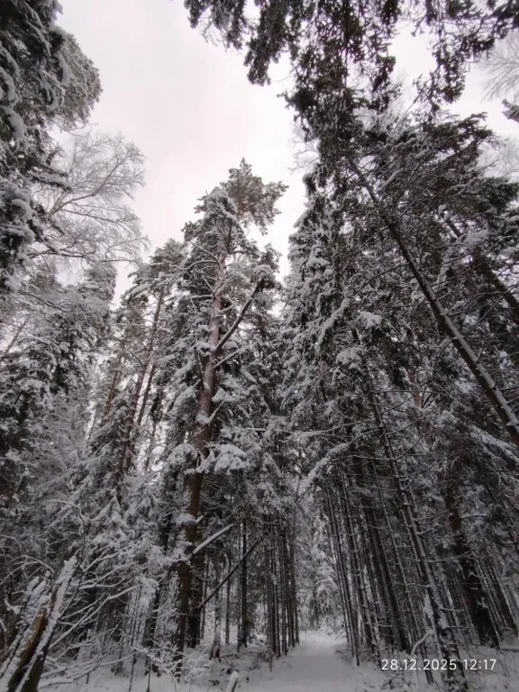 Дом для отдыха на лесной опушке с баней