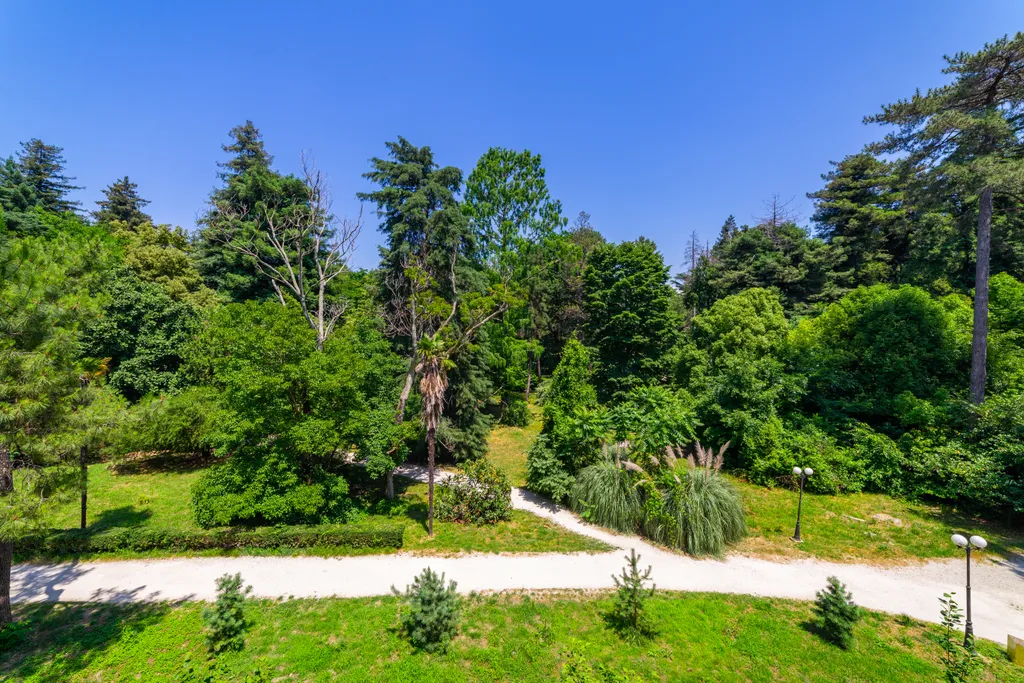 Квартира Квартира Студия Лето — Сириус