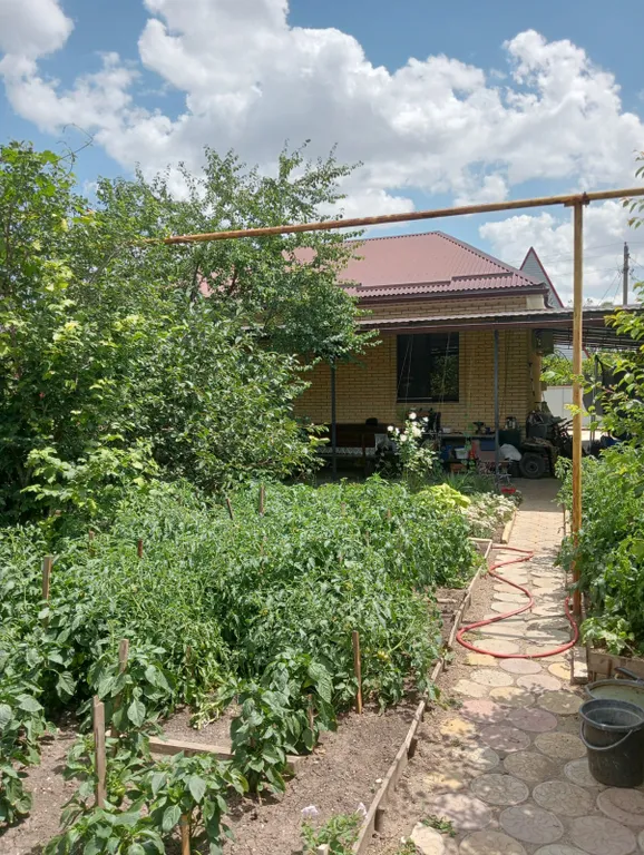 Бюджетный отдых на Азовском море