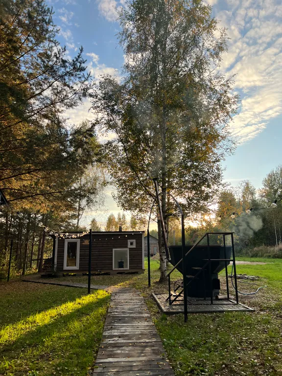 Уникальный купольный дом среди хвойного леса