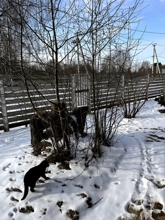 Дом Салтыков-Щедрин на берегу Рузского водохранилища