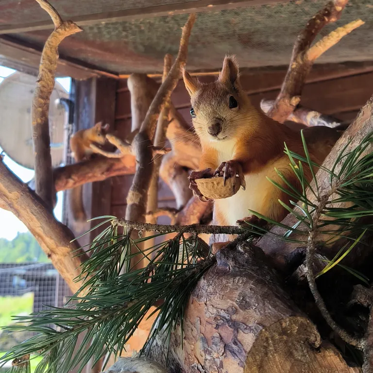 Дом на скале с панорамным видом на озеро