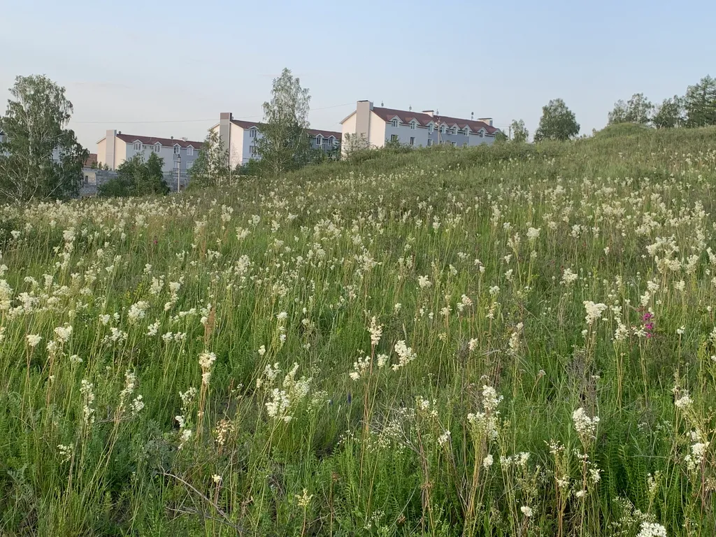 Банное Алтынaй