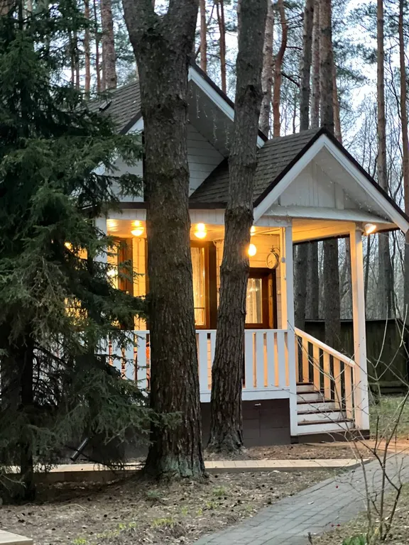 Загородный дом в соснах недалеко от Москвы