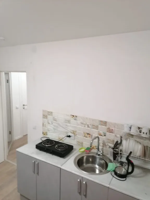 Квартира 1-комнатная Квартира — Колпино