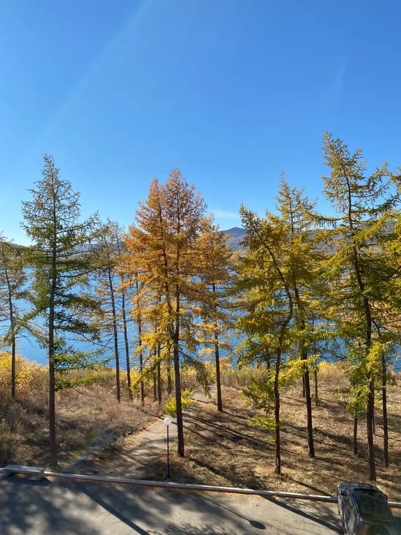 Уютная квартира с видом на озеро Банное и Уральские горы