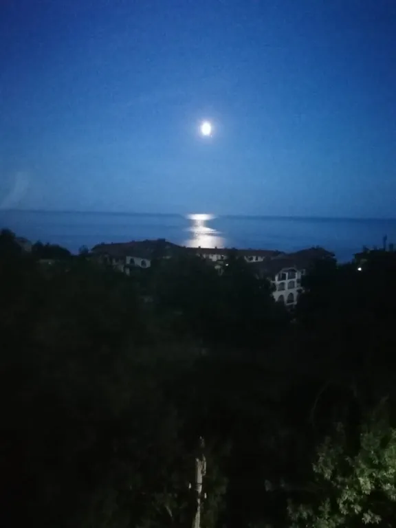Студия с видом на море