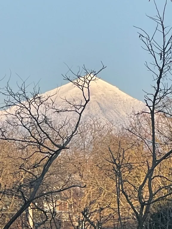 Квартира в курортной зоне «Здорово на водах»