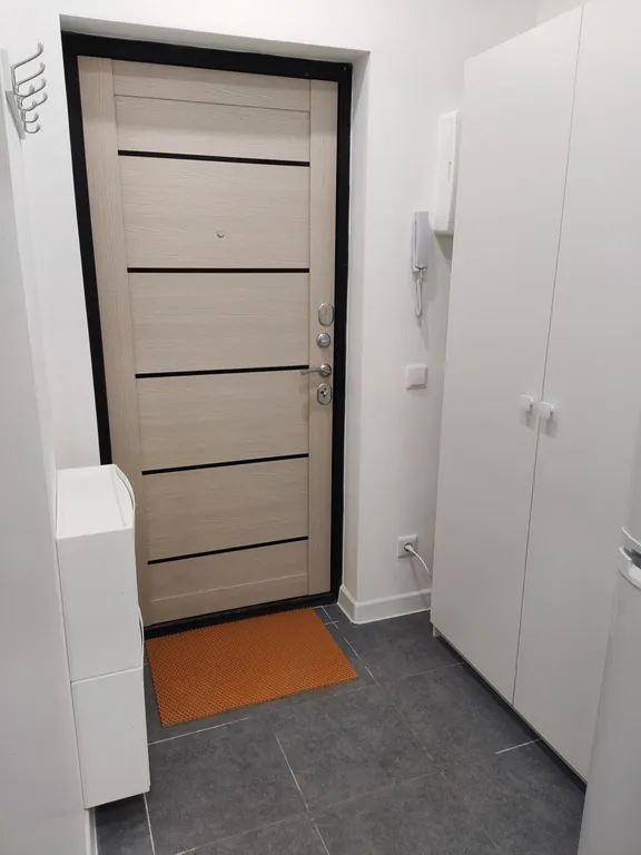 Студия в Новом Пушкино