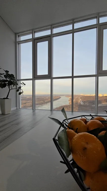 Квартира с шикарным видом на реку и лес