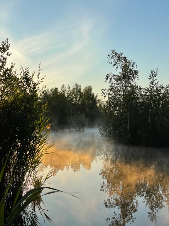 A-frame с банным чаном на берегу водоёма