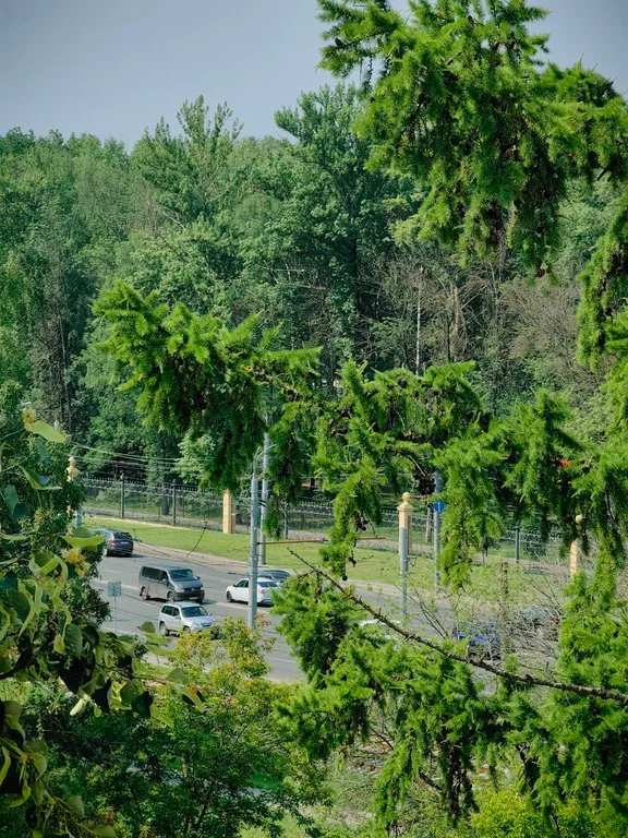 Квартира Квартира Уютная однушка у Парка Швейцария — Нижний Новгород