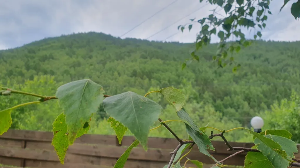 Гостевой домик в Листвянке