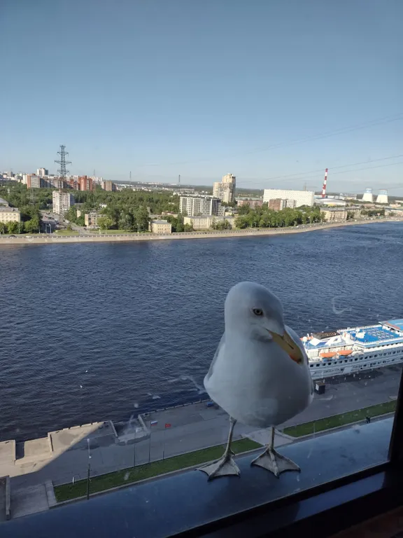 Квартира Квартира Чайка на Неве рядом с центром — Санкт-Петербург