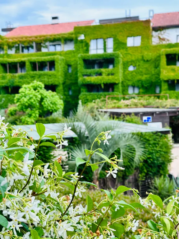 Дизайнерские апартаменты с террасой и бассейном