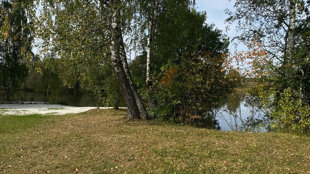 Новый стильный дом с камином