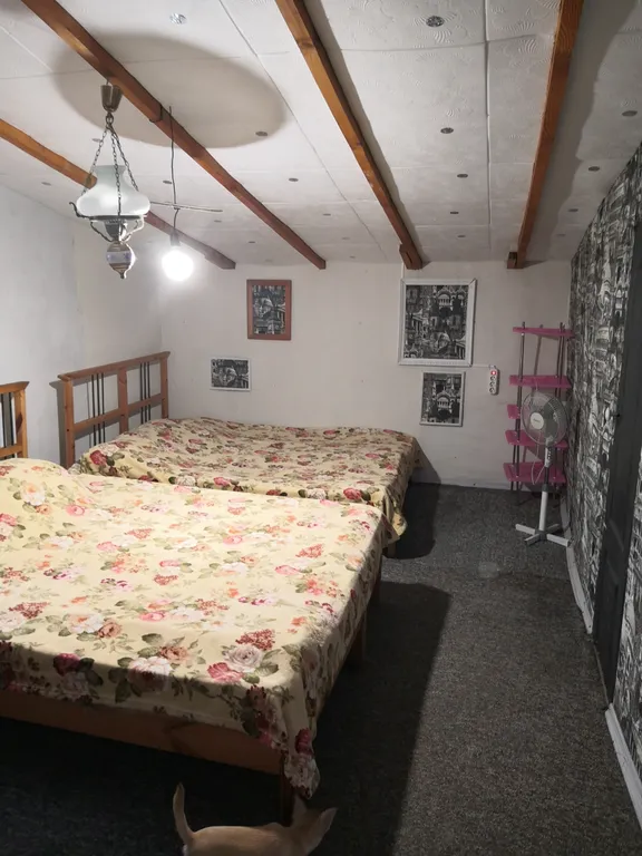 Уютный номер для 4х человек