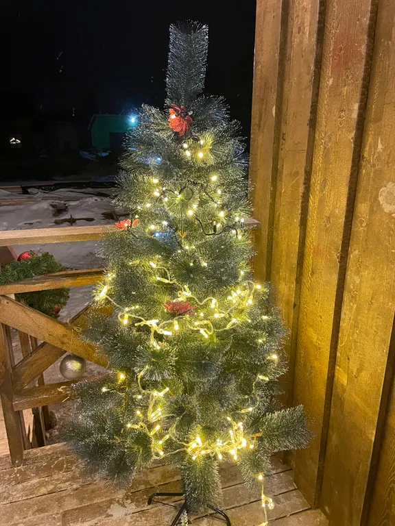 Домик для семейного отдыха в лесу