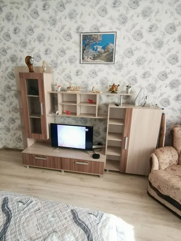 Однушка в самом центре