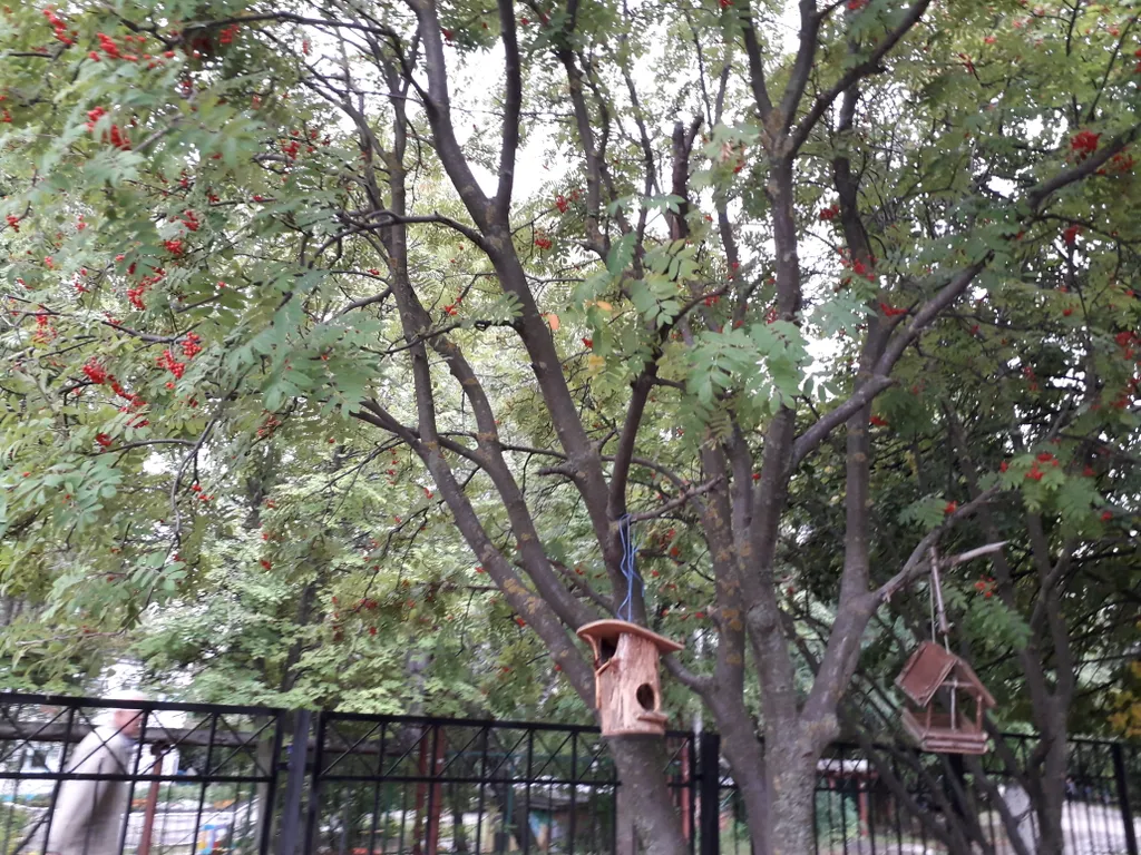 Домашняя атмосфера в 10 минутах от центра