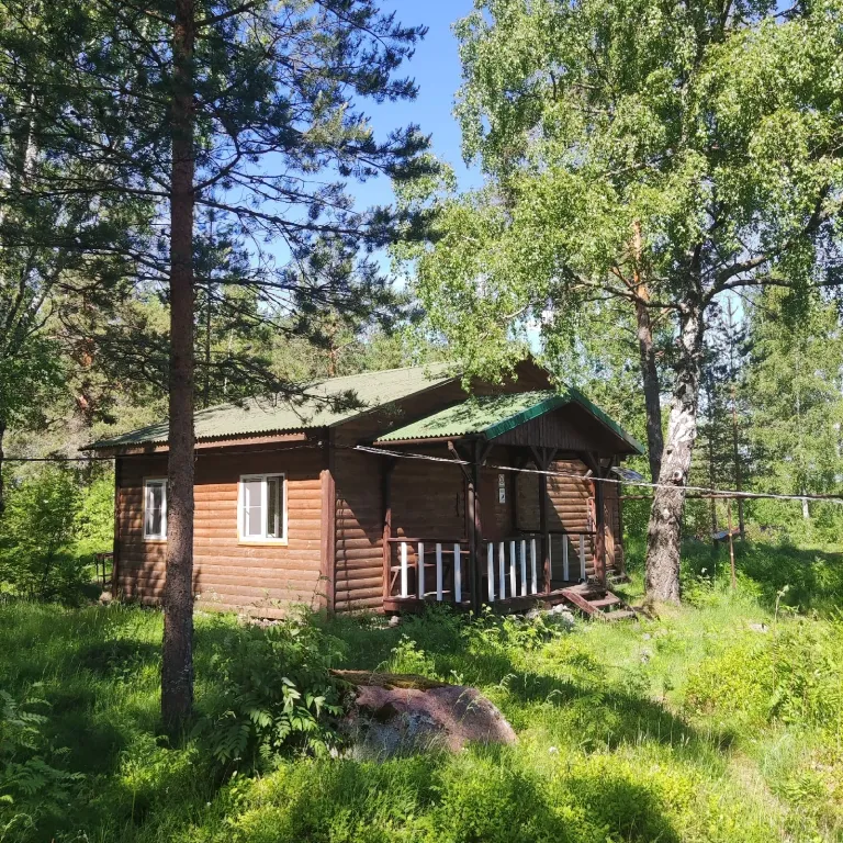 Коттедж Дом на берегу озера с панорамным видом на лес — аренда посуточно в Мельниково