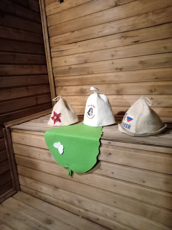 Дом на Пугачёва