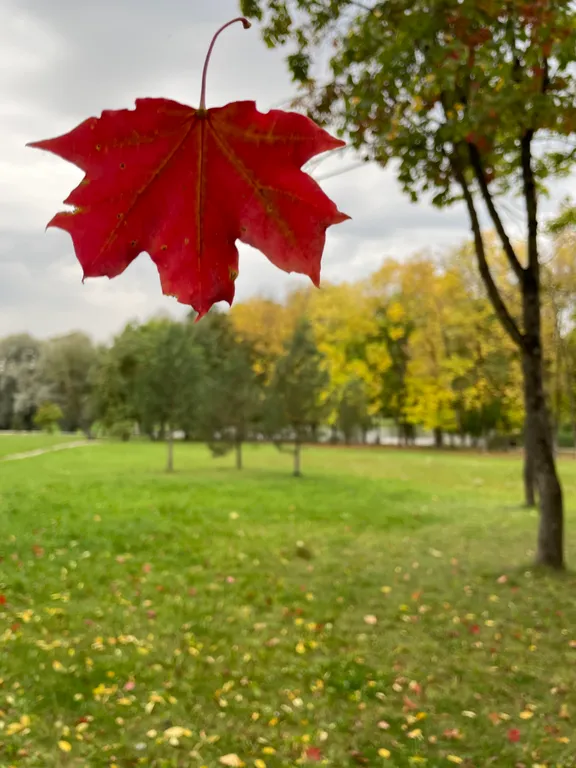 Просторная квартира в историческом центре города