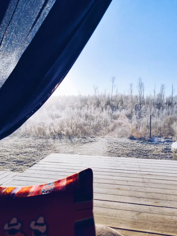 Коттедж Уютный дом с панорамным видом на лес — Луга