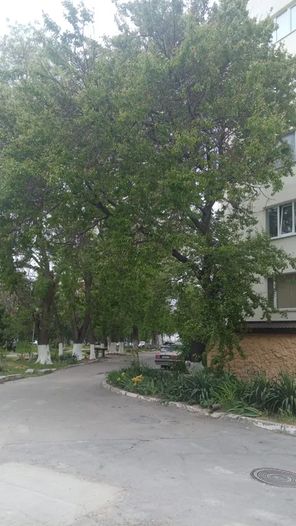 Квартира Уютная квартира с открытой лоджией и видом на море — Анапа