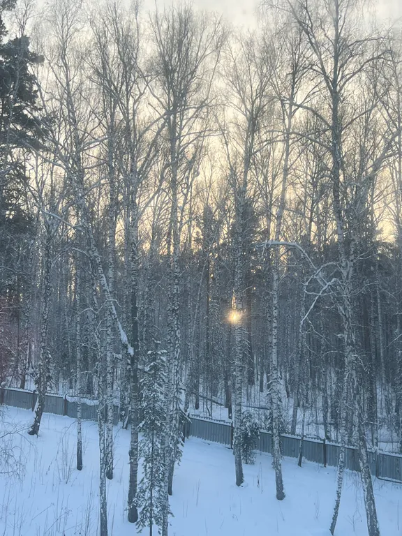 Квартира на территории базы отдыха «Молодёжная» на озере Б. Еланчик