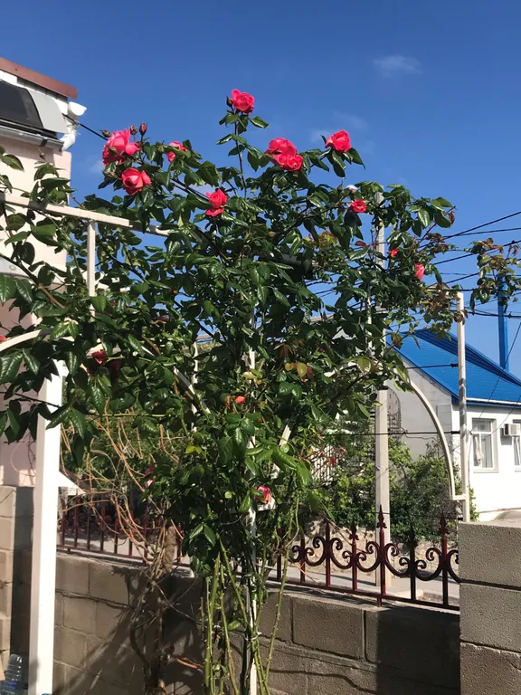 Коттедж Дом с видом на море для семейного отдыха — Севастополь