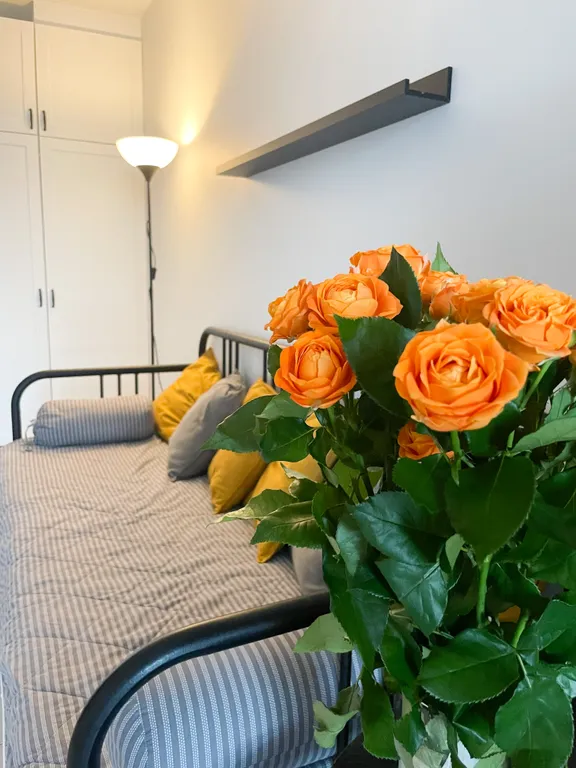 1-комнатная квартира в скандинавском стиле