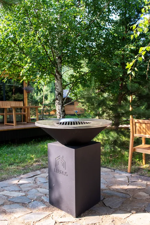 Шале посреди молодого сосново-березового леса