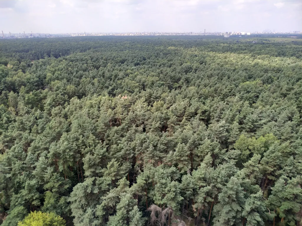 Чистая и уютная студия с хорошим ремонтом рядом с метро Котельники