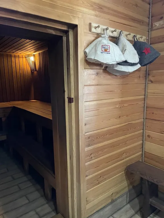 Дом, баня в центре