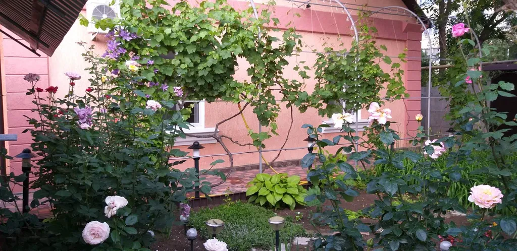 Коттедж Дом без хозяев и других отдыхающих — аренда посуточно в Феодосия